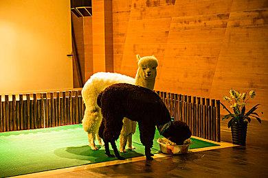 科隆：科幻纵轴射击游戏《CYGNI》新预告 明年发售